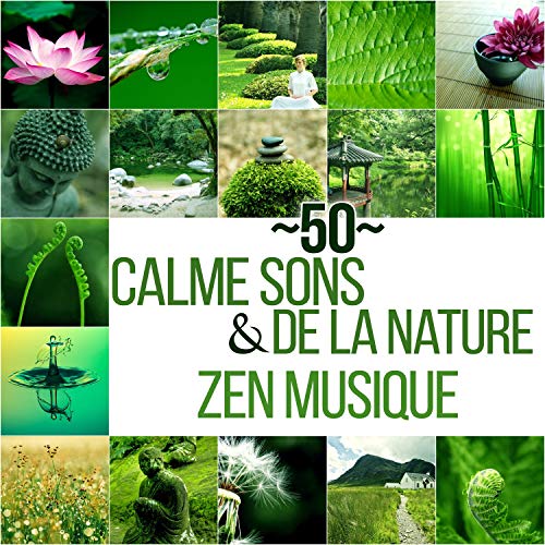 CD Zen Musique