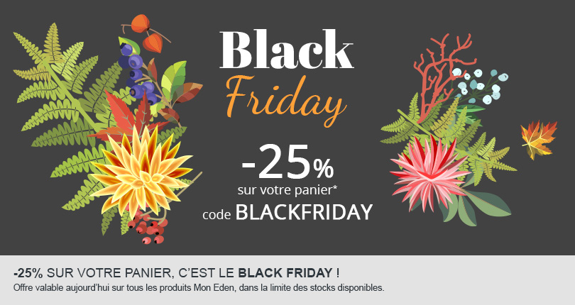 Écran de carrousel sur le thème "Black Friday"