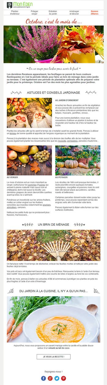 Newsletter éditorial : Conseils au jardin en mars