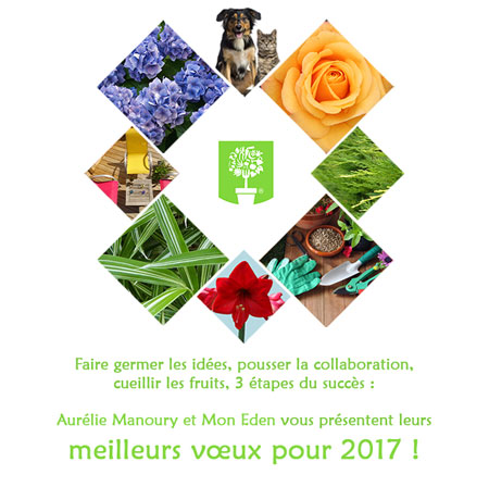 Newsletter de présentation de voeux 2017