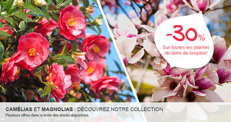 Écran de carrousel : -30% Camélias et Magnolias